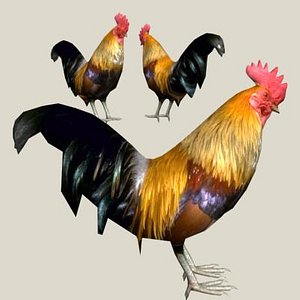 3ds max cock