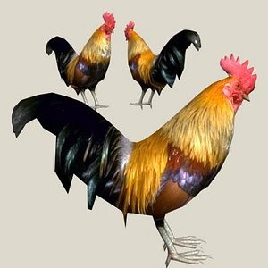 Cock