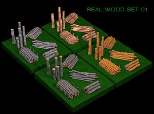 3d real wood set