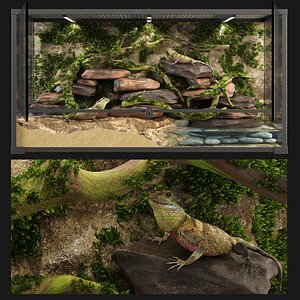 reptile terrarium agama 3D model