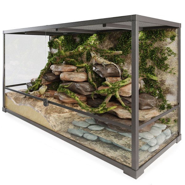 Reptile terrarium agama 3D model - TurboSquid 1452435