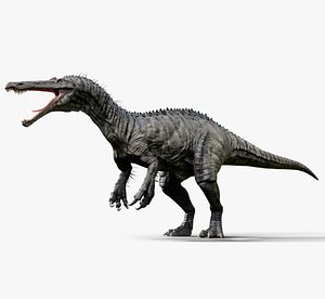 Suchomimus tenerensis