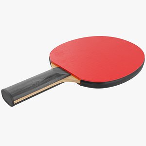 Table Tennis Paddle 3D model