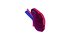 3D Human kidneys