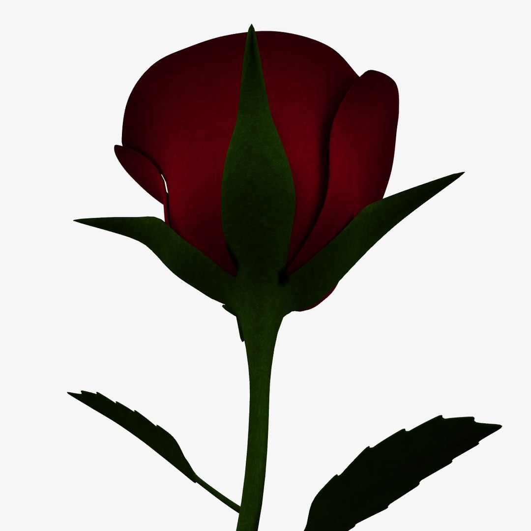3d model red rose https://p.turbosquid.com/ts-thumb/4y/oXZgrv/HmygSYRZ/rose3/jpg/1480341851/1920x1080/fit_q87/75005a96b8205b0768c434bed35641ea5b939a81/rose3.jpg