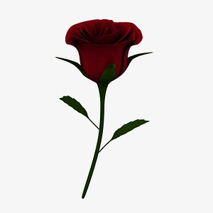 3d model red rose