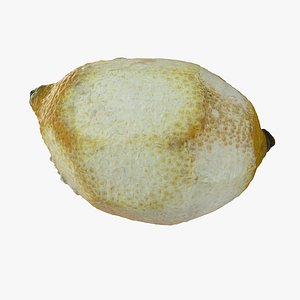 Dry Realistic Peeled Lemon 2
