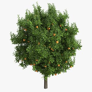 3d orange tree