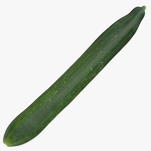 Persian Sfran Cucumber 02