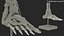 Anatomical Foot Structure with Muscle and Bone System Rigged for Maya
