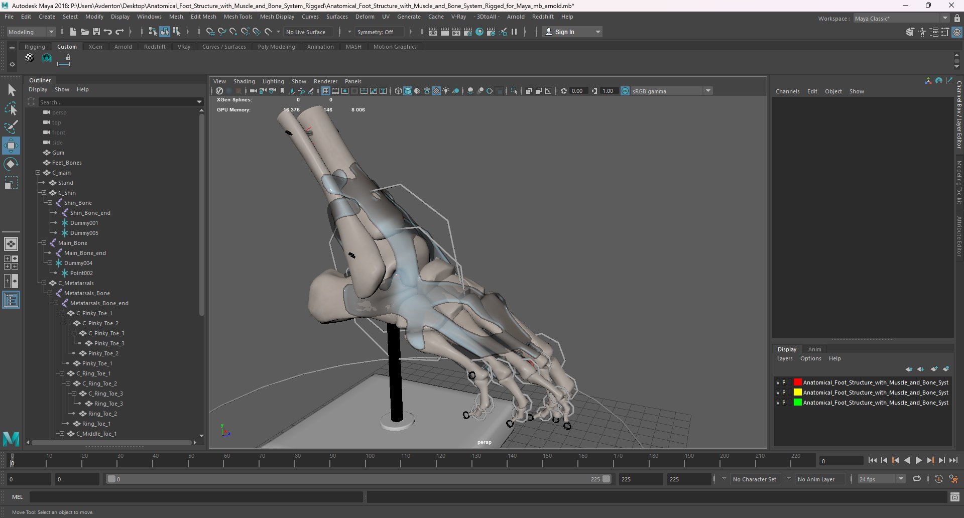 3D model Anatomical Foot Structure with Muscle and Bone System Rigged for Maya https://p.turbosquid.com/ts-thumb/4y/w2OF83/xy/anatomical_foot_structure_with_muscle_and_bone_system_rigged_for_maya_1005/jpg/1760363027/1920x1080/fit_q87/ef0489fa76774a9f55831c992ac4e46f441e0f01/anatomical_foot_structure_with_muscle_and_bone_system_rigged_for_maya_1005.jpg