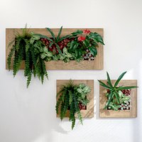Vertical garden