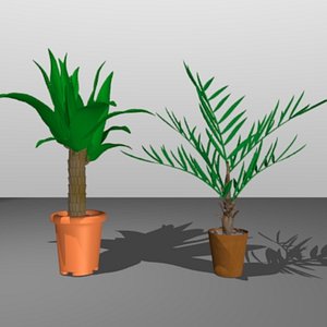palm trees 3d obj