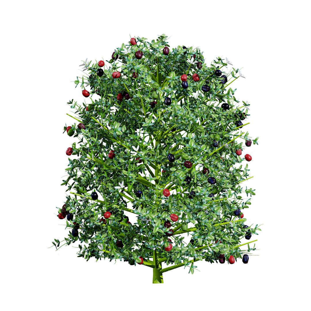 Native South African Plants  Trees for Archviz  Games 3D model https://p.turbosquid.com/ts-thumb/4z/80ukDF/5Z/southafricannatalplum5/jpg/1757089827/1920x1080/fit_q87/abf04df7b51b4a1800bcec8973e2c2f50f35506c/southafricannatalplum5.jpg