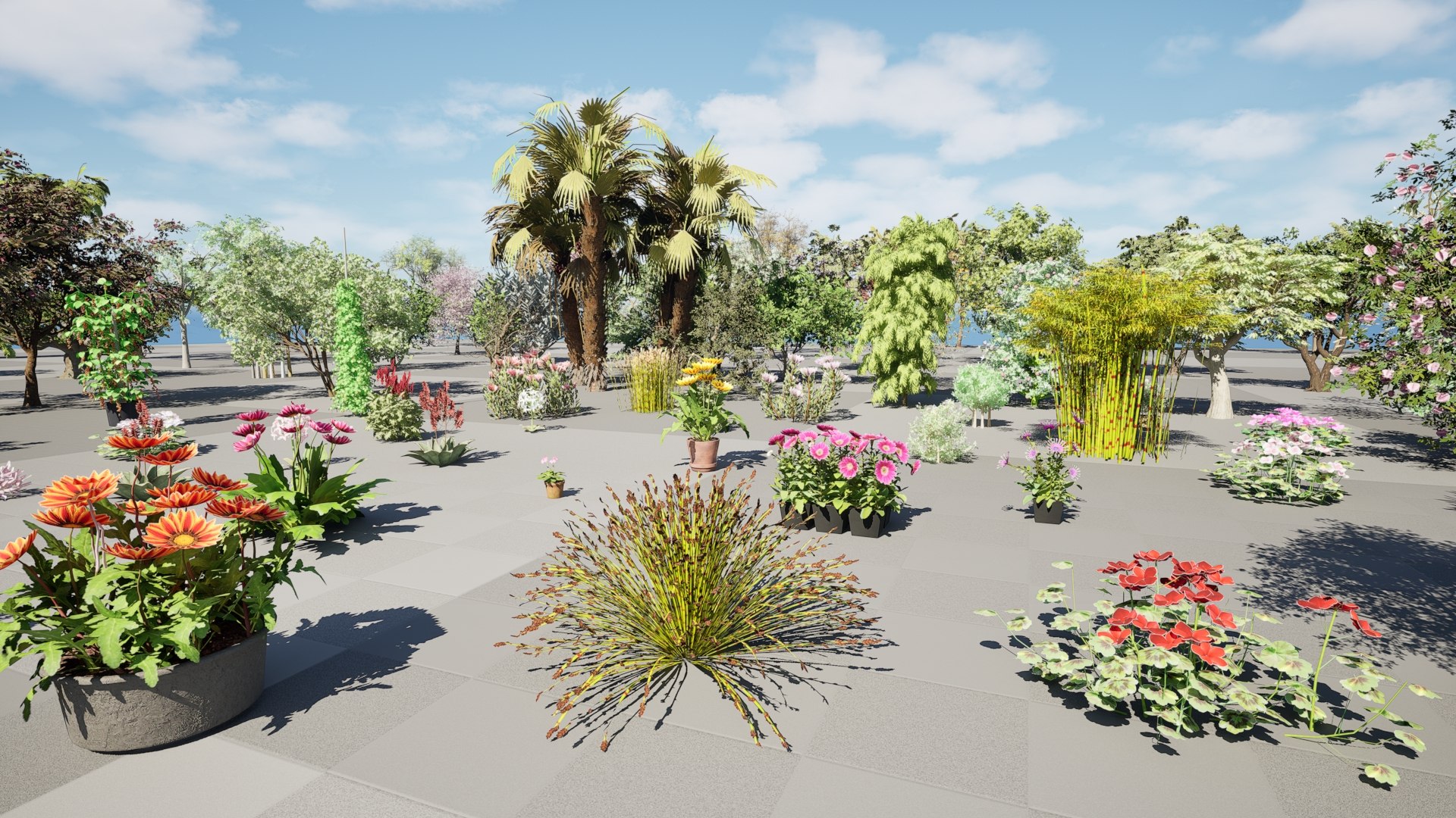 Native South African Plants  Trees for Archviz  Games 3D model https://p.turbosquid.com/ts-thumb/4z/80ukDF/66/04.0000/jpeg/1757087977/1920x1080/fit_q87/30a3ce5300a04c965daecfc489136d703950c6b2/04.0000.jpg