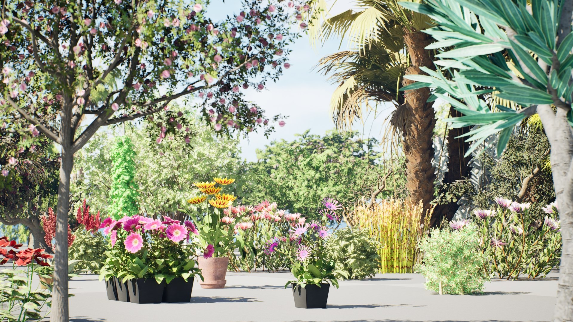 Native South African Plants  Trees for Archviz  Games 3D model https://p.turbosquid.com/ts-thumb/4z/80ukDF/8U/01.0000/jpeg/1757087947/1920x1080/fit_q87/aaee28ab1e15c86fedb3c679120f49fc9ca8cc77/01.0000.jpg