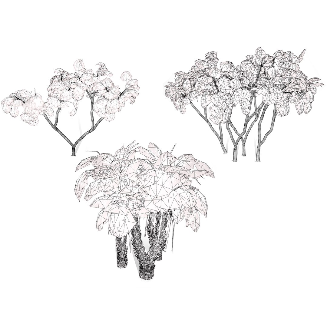 Native South African Plants  Trees for Archviz  Games 3D model https://p.turbosquid.com/ts-thumb/4z/80ukDF/It/southafricandoumpalm6/jpg/1757089911/1920x1080/fit_q87/3eebfedf784cb221dc48604ed78b2c276827a191/southafricandoumpalm6.jpg
