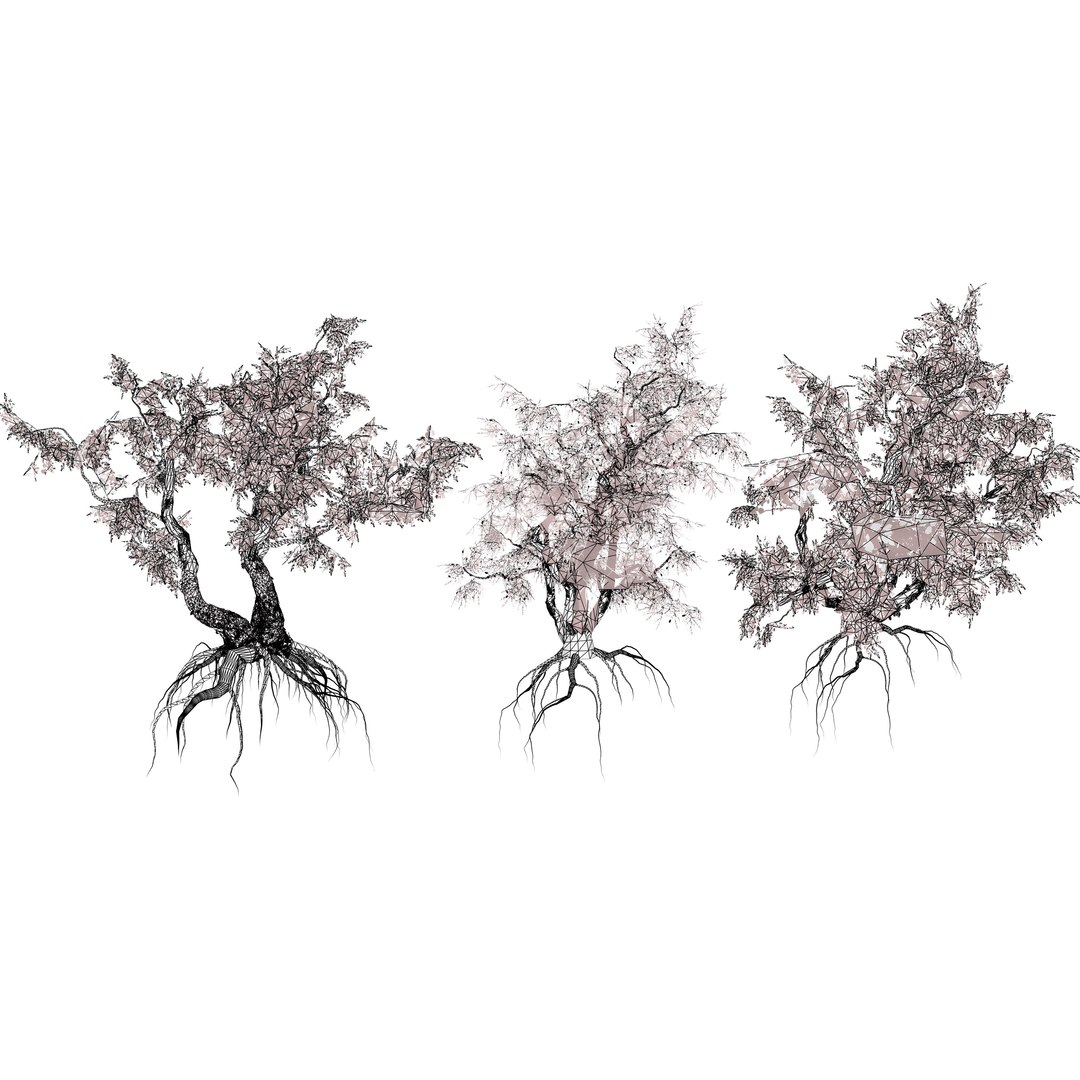 Native South African Plants  Trees for Archviz  Games 3D model https://p.turbosquid.com/ts-thumb/4z/80ukDF/KP/southafricancommonstar6/jpg/1757089909/1920x1080/fit_q87/e559a37bc83766bfe75993679dd346eaebb0e038/southafricancommonstar6.jpg