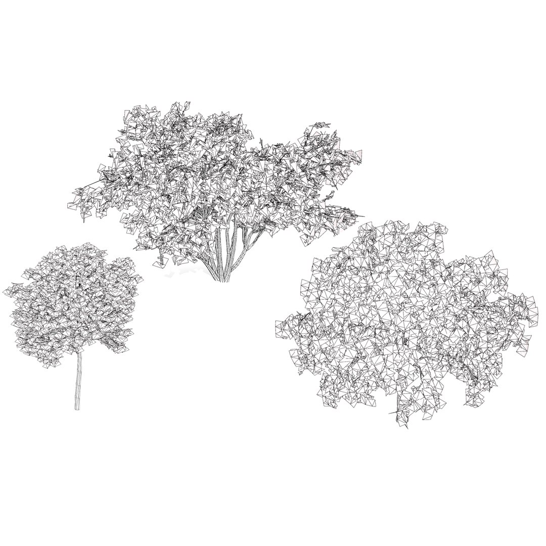 Native South African Plants  Trees for Archviz  Games 3D model https://p.turbosquid.com/ts-thumb/4z/80ukDF/YW/southafricancamphorbush6/jpg/1757089908/1920x1080/fit_q87/be76d9ef75e771f70c17cab6c415df2c16702f76/southafricancamphorbush6.jpg