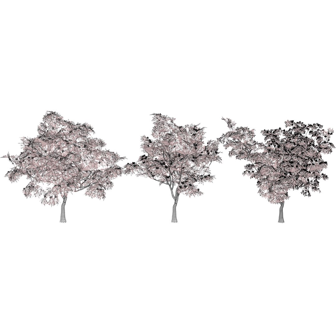Native South African Plants  Trees for Archviz  Games 3D model https://p.turbosquid.com/ts-thumb/4z/80ukDF/lO/southafricancombretumkraussiitrees6/jpg/1757089909/1920x1080/fit_q87/3d812d3e3a434c0f2f82231a1b17d0acf92de333/southafricancombretumkraussiitrees6.jpg