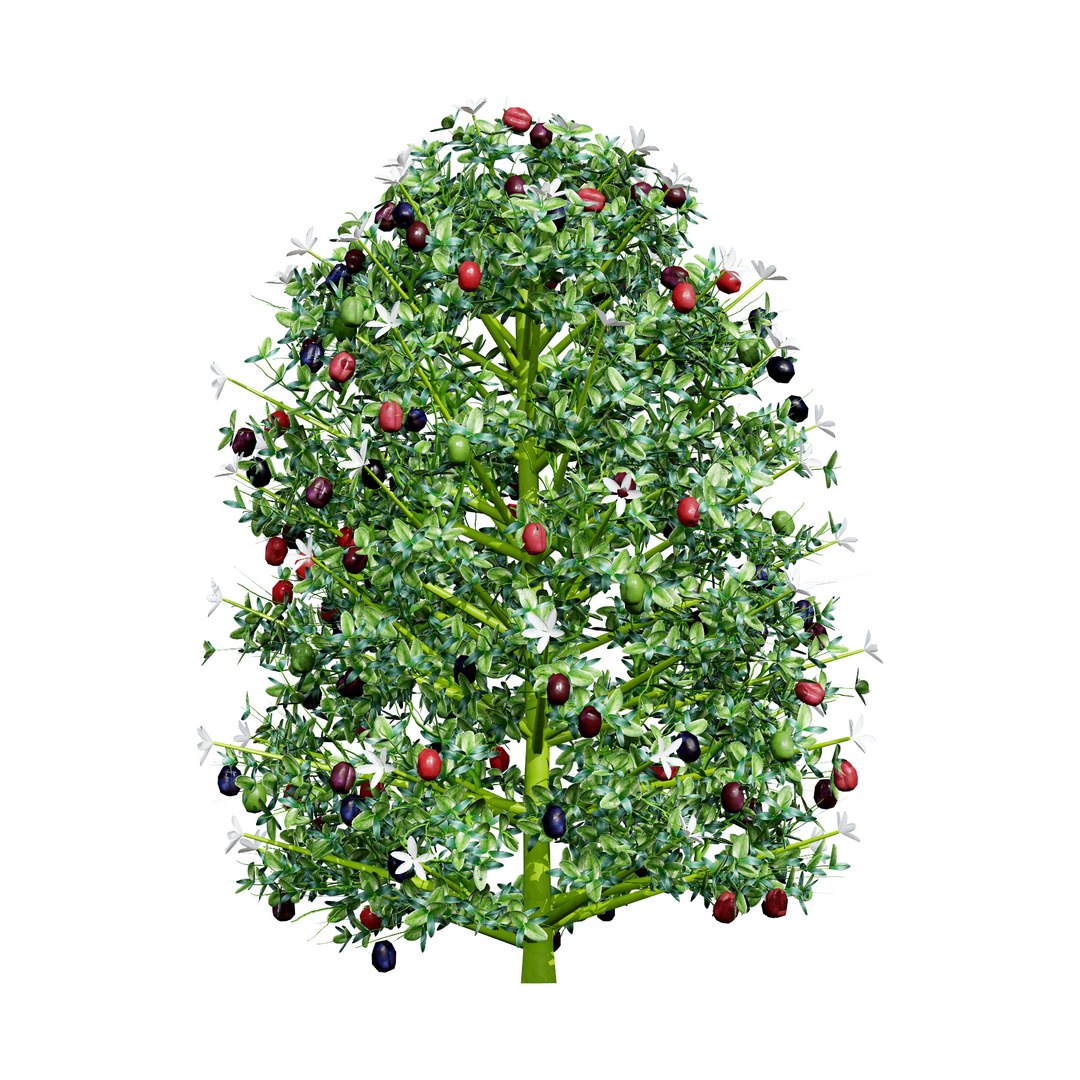 Native South African Plants  Trees for Archviz  Games 3D model https://p.turbosquid.com/ts-thumb/4z/80ukDF/q7/southafricannatalplum4/jpg/1757089827/1920x1080/fit_q87/6bbf2706f86598e771bf838e2059129aa24cfb9a/southafricannatalplum4.jpg