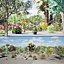 Plantes et arbres indigènes d'Afrique du Sud pour les jeux Archviz