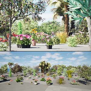 Native South African Plants Trees for Archviz Games