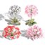 Plantes et arbres indigènes d'Afrique du Sud pour les jeux Archviz
