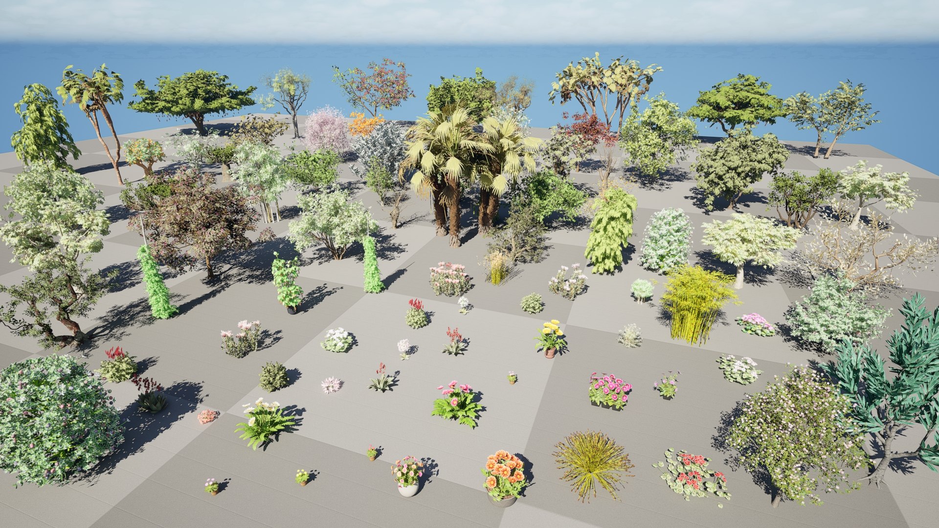 Native South African Plants  Trees for Archviz  Games 3D model https://p.turbosquid.com/ts-thumb/4z/80ukDF/yi/02.0082/jpeg/1757087958/1920x1080/fit_q87/f2ff745ca853986123822eb137cf5e0a0f65a6c4/02.0082.jpg