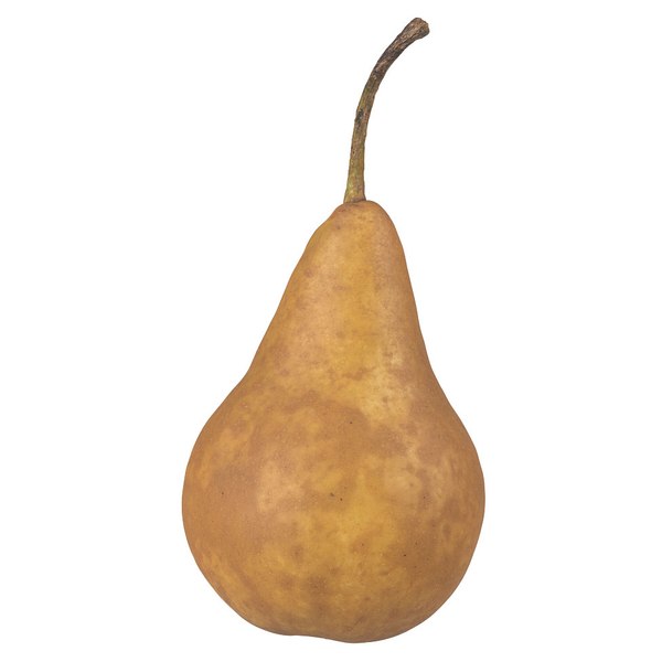3D model photorealistic scanned pear