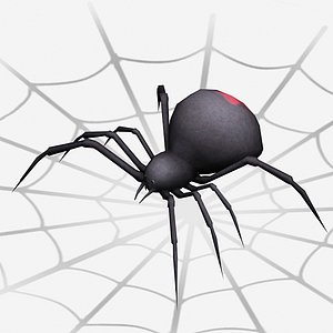 black widow spider