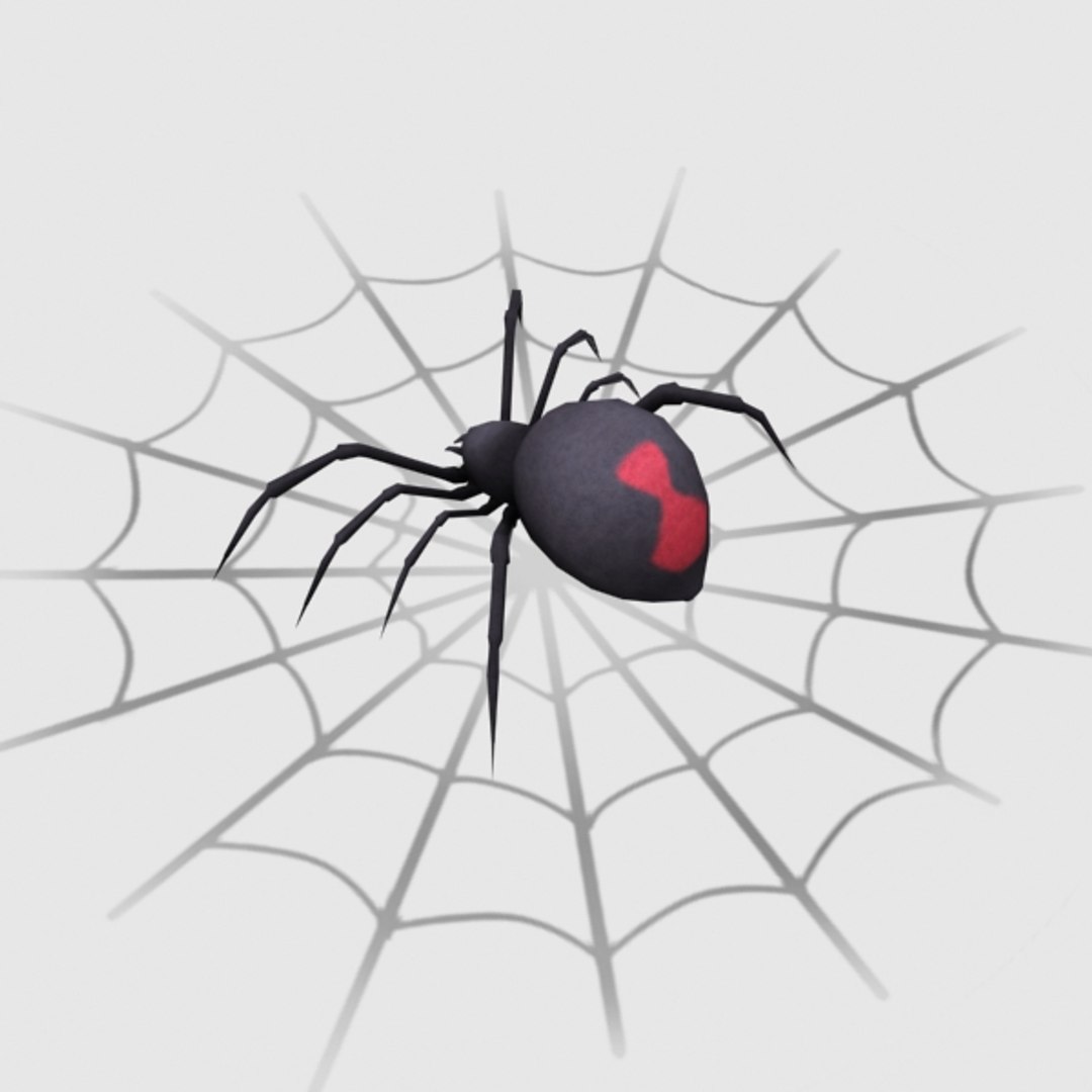 3d Model Black Widow Spider