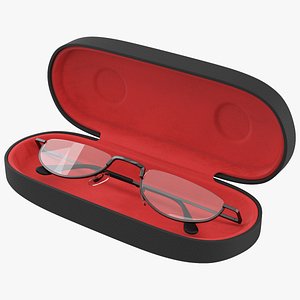 Case With Glasses 3D