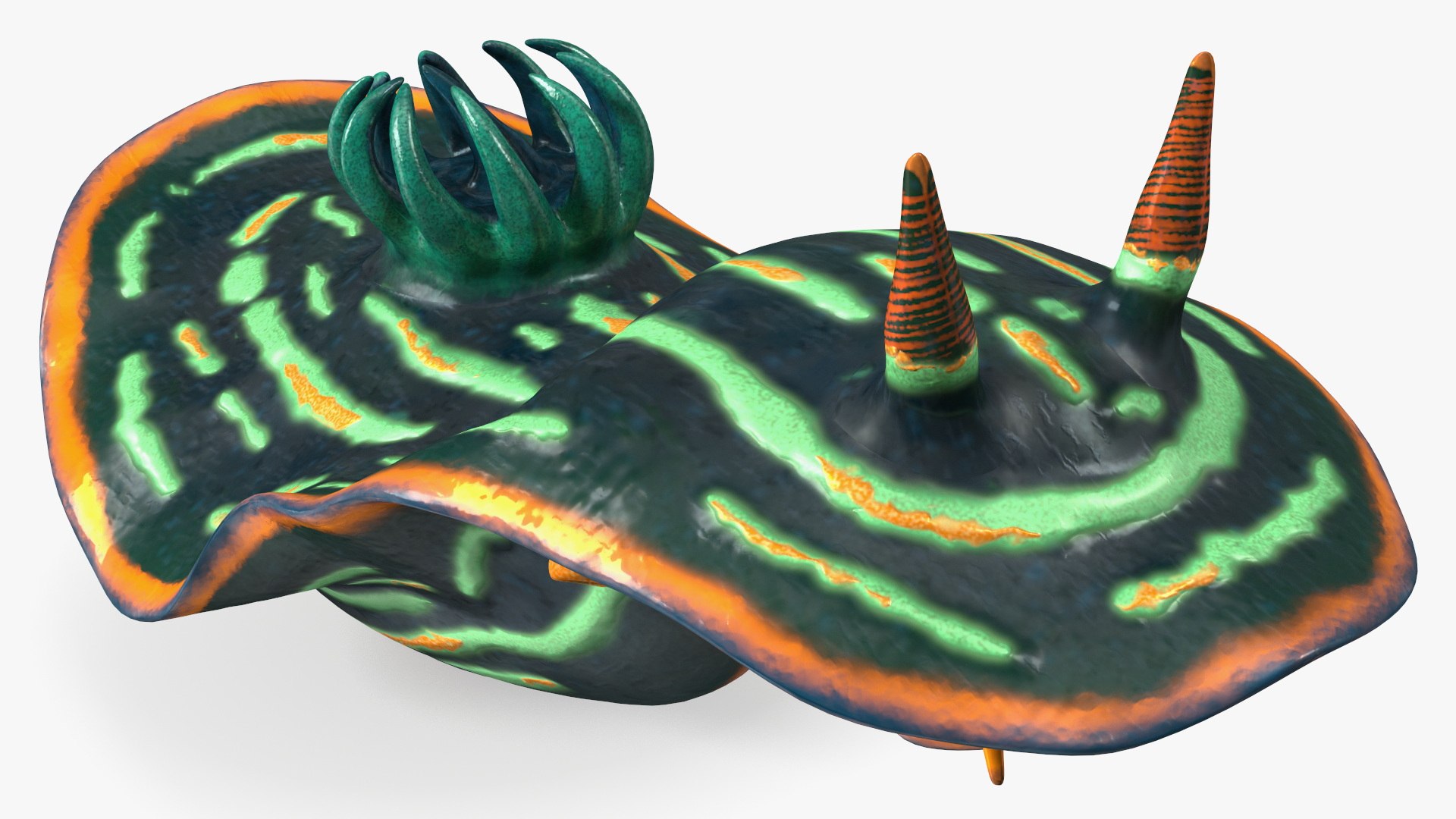 Dusky Nudibranch Rigged 3D model preview