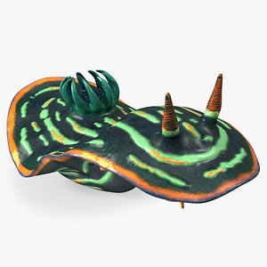 Dusky Nudibranch Rigged 3D model