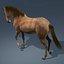 3d model realistic horse