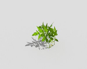 3d model plant