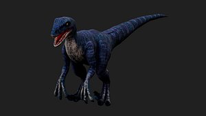 Velociraptor 3D model
