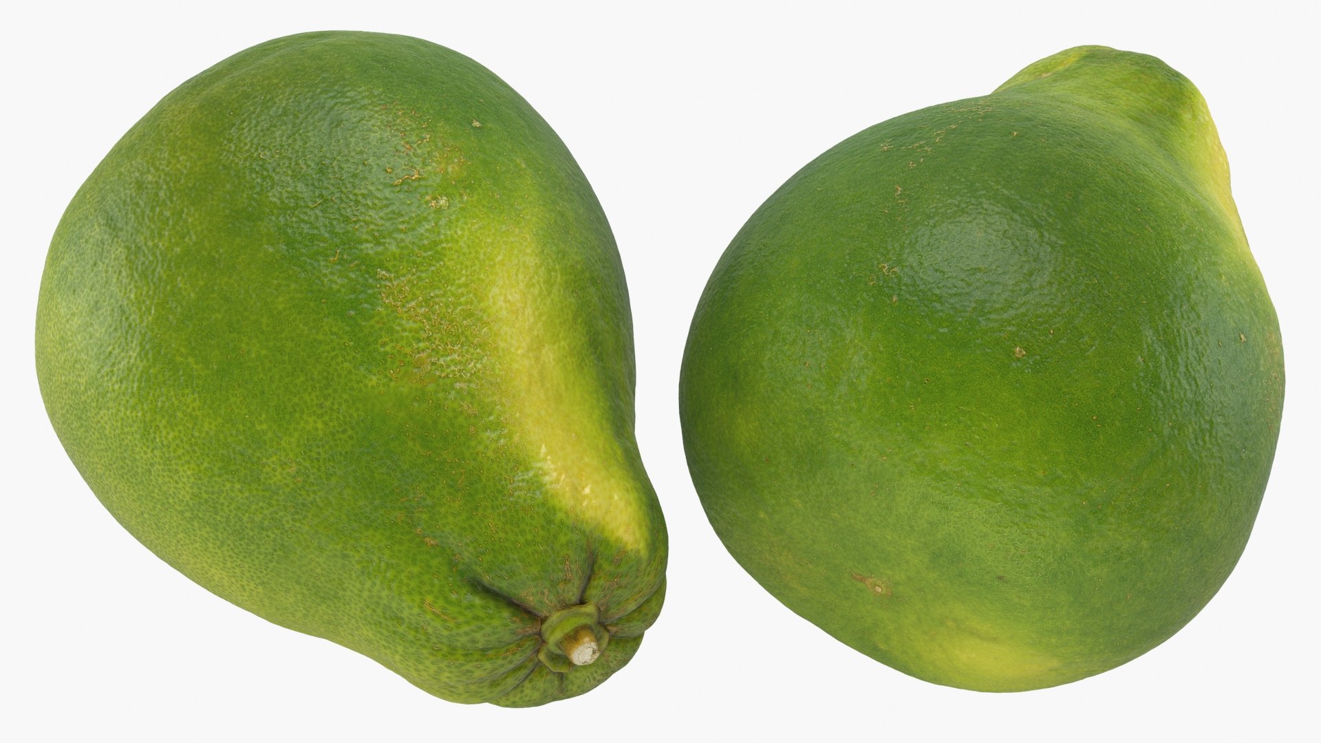 3D model Whole and Half Cut Yellow Pomelo https://p.turbosquid.com/ts-thumb/4z/dNnwF8/Nw/wholehalfredpomelo_a0003/jpg/1645968197/1920x1080/fit_q87/27dc1e446e7b1fd4e215dfbf5f625b15484dbd9c/wholehalfredpomelo_a0003.jpg