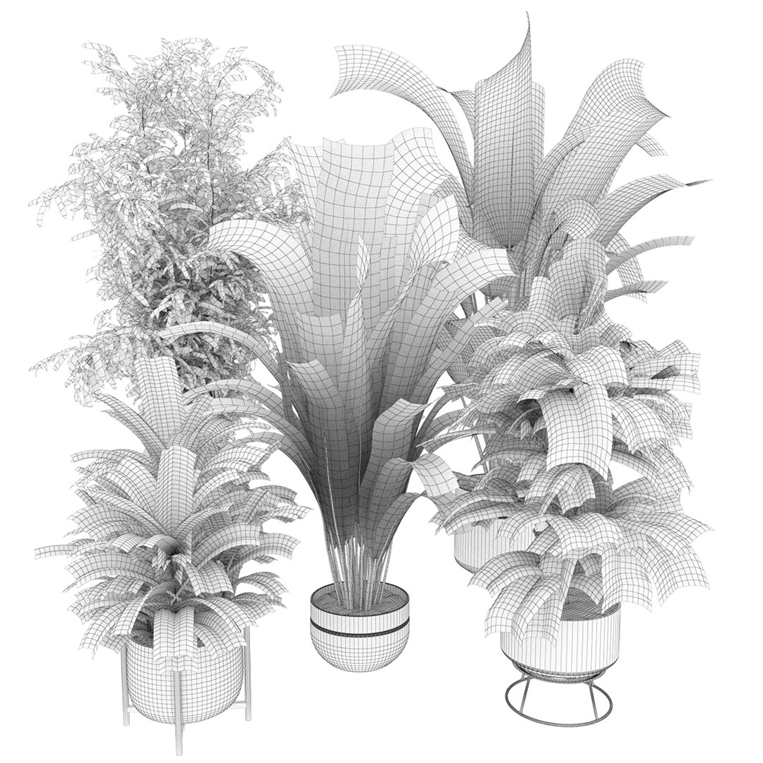3D Collection plant vol 353 - indoor - fiddle - banana - aspidistra - Croton - cinema 4d - 3dsmax - ble https://p.turbosquid.com/ts-thumb/4z/fcYXT2/HE/untitled1_0006_7.jpg/jpg/1654632743/1920x1080/fit_q87/294feb19b2300383dcc38c0037b86c3c83122e08/untitled1_0006_7.jpg.jpg