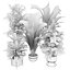 Collection plant vol 353 - indoor - fiddle - banana - aspidistra - Croton - cinema 4d - 3dsmax