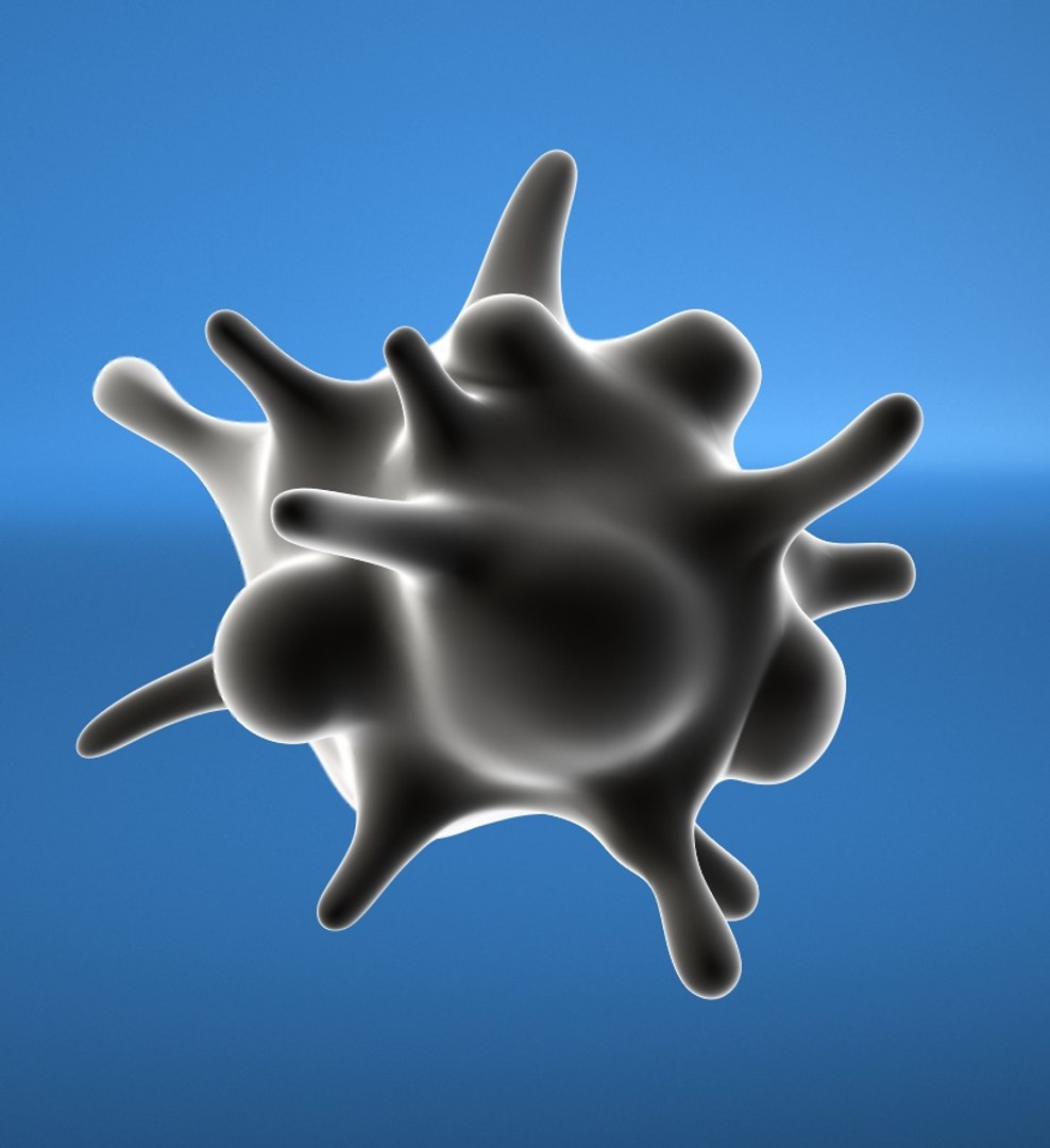 3d Amoeba Model 2660