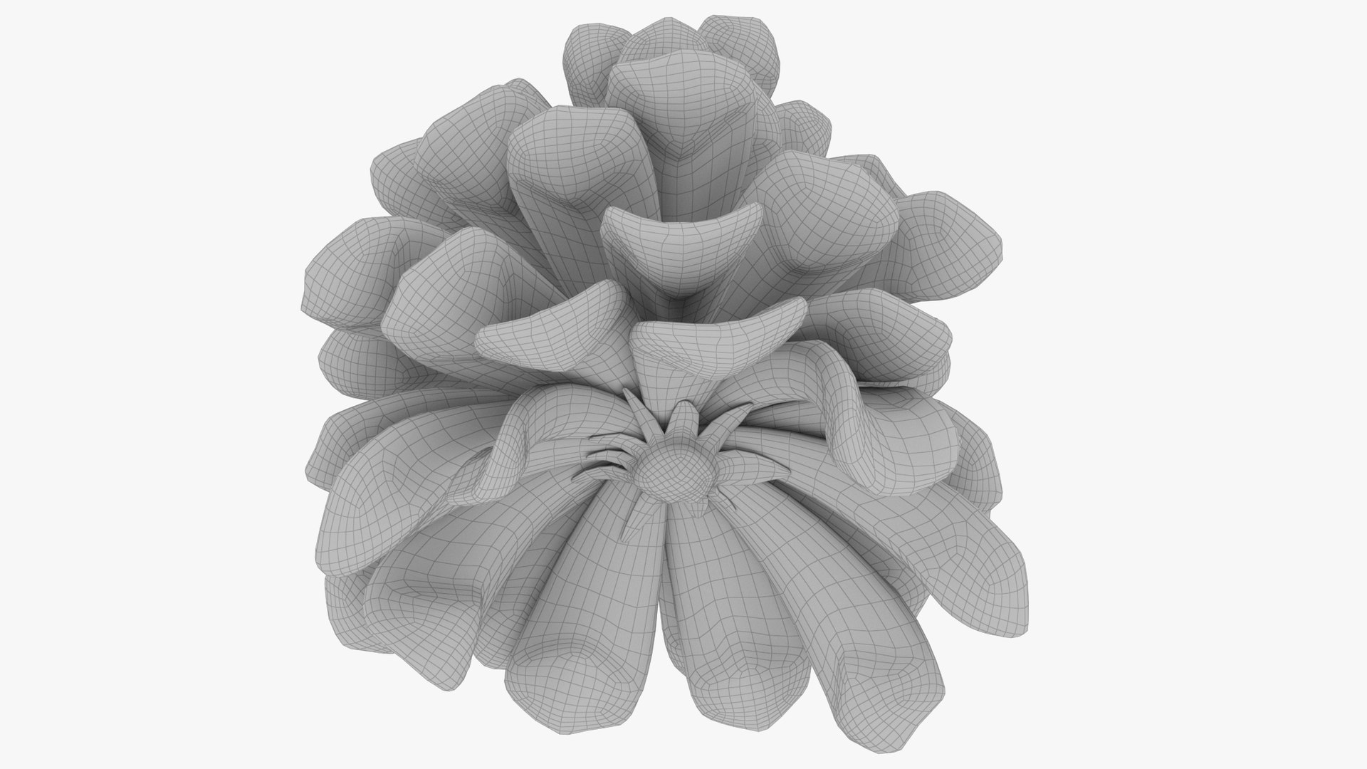 3D Conifer Cones Collection V2 https://p.turbosquid.com/ts-thumb/4z/fnPve6/iu/c2_004_016/png/1699982435/1920x1080/fit_q87/d1898daec7d32e45727c093d3c8862ba8afc8f28/c2_004_016.jpg