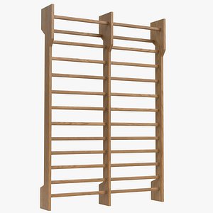 Double Swedish ladder