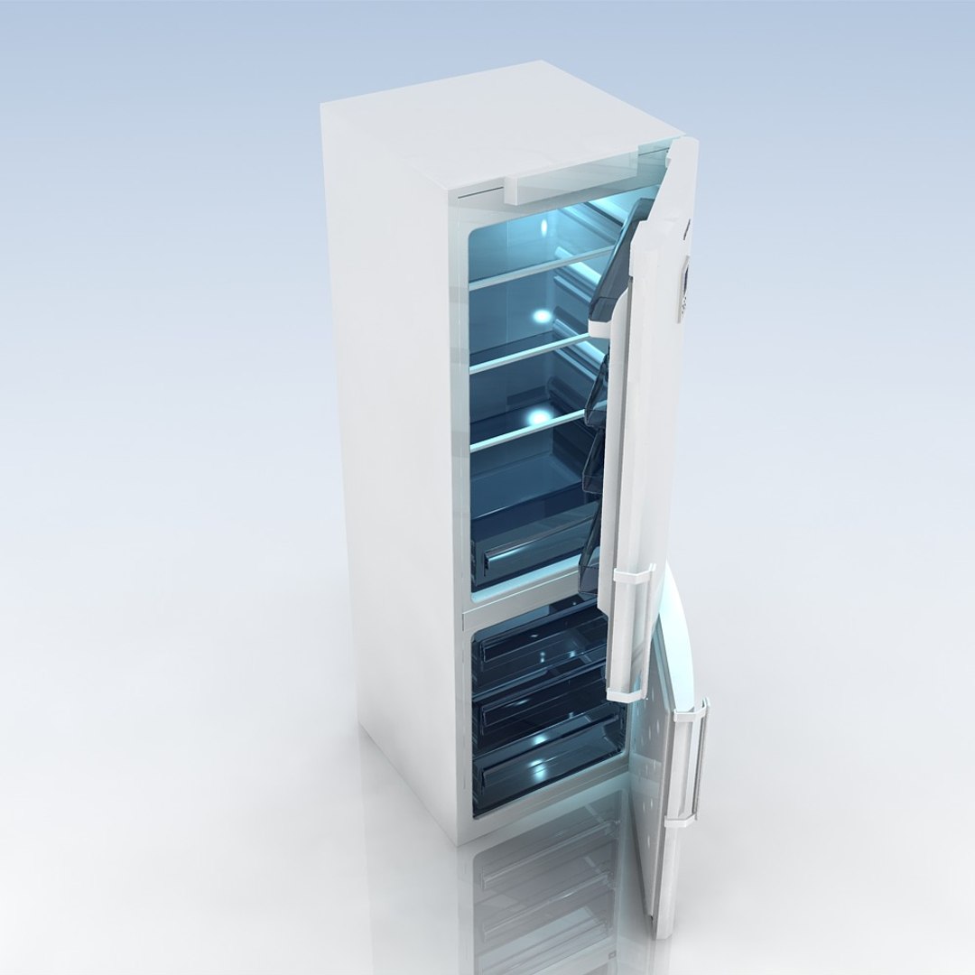 fridge samsung rl 40 max