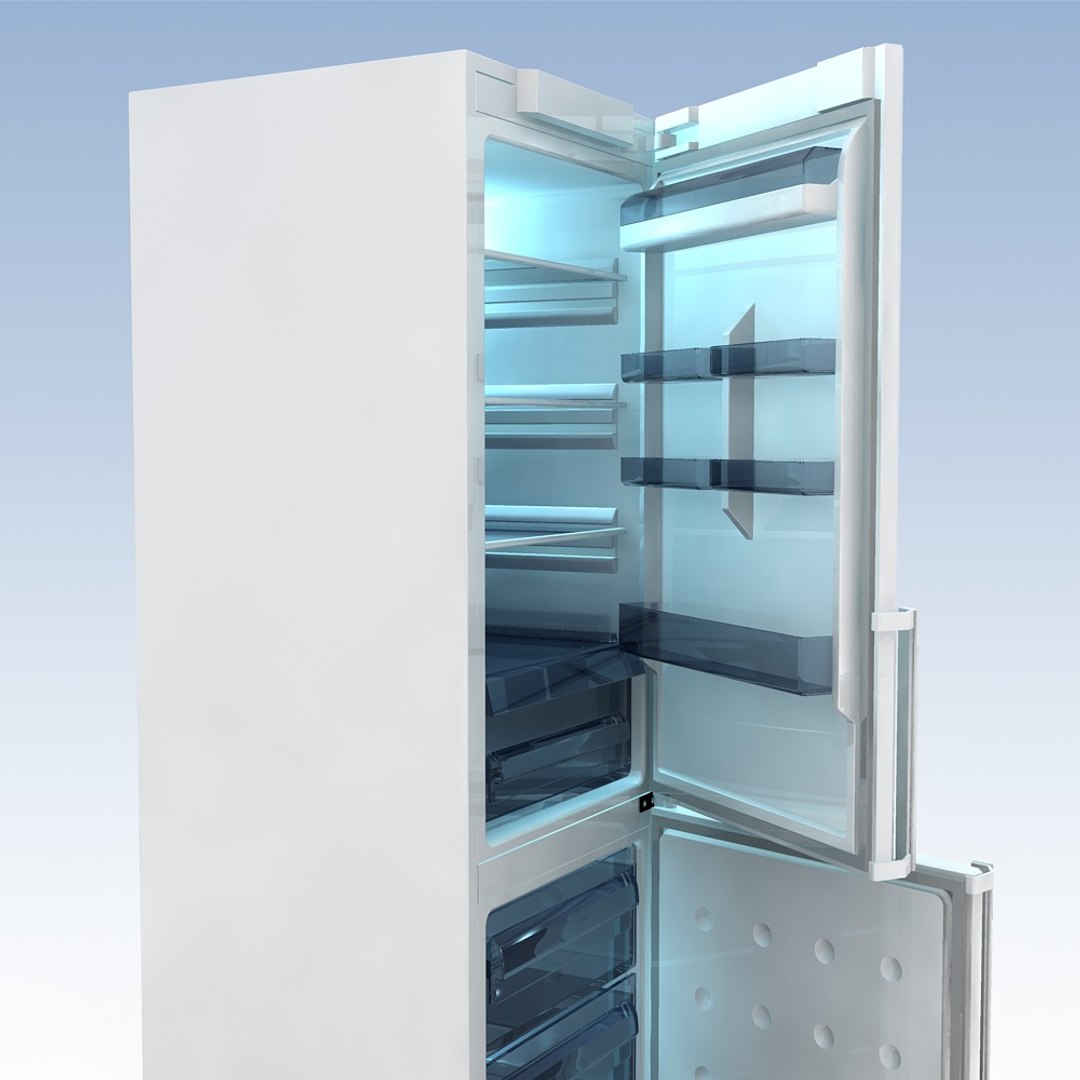 fridge samsung rl 40 max