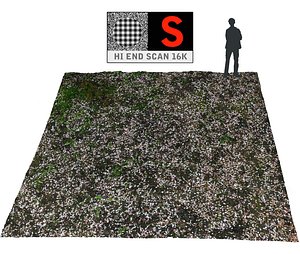 max forest ground 16k hd