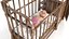 3D model Baby Cradle