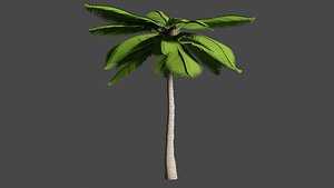 coconut palm tree