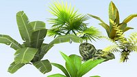 Tropical vegetation pack